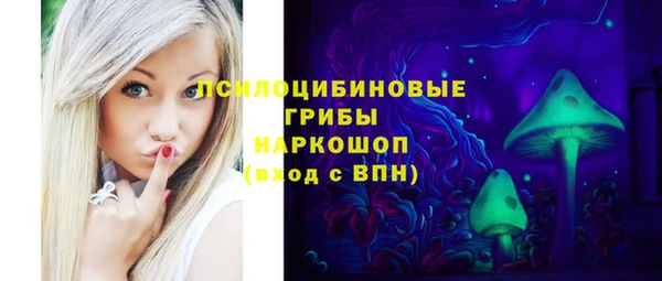 ГАЛЛЮЦИНОГЕННЫЕ ГРИБЫ Баксан