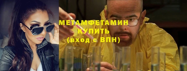 прущие грибы Новозыбков