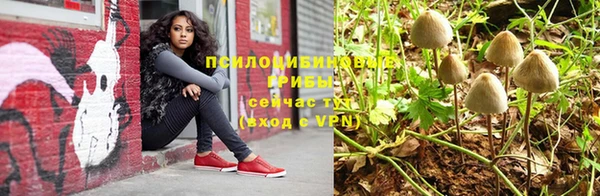ГАЛЛЮЦИНОГЕННЫЕ ГРИБЫ Баксан