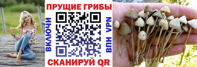 hydra зеркало  купить наркотики цена  нарко площадка состав  Галлюциногенные грибы Psilocybe  Калуга 